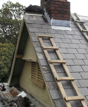 Gutter Repairs and Roof Repairs in Sydney